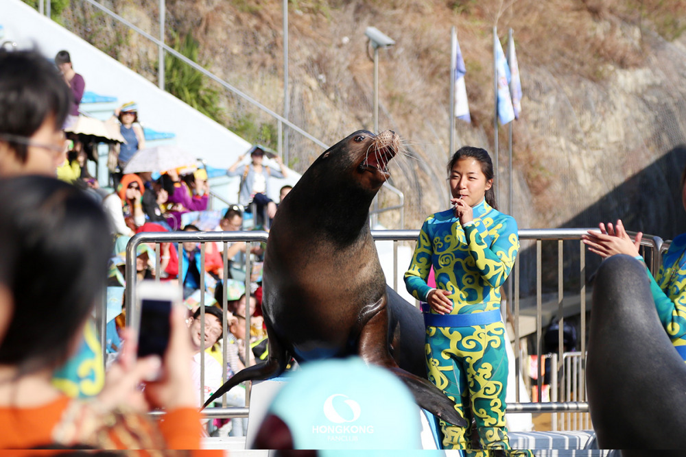 Ocean Park Hong Kong